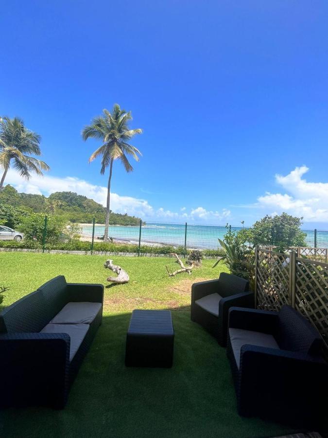 Studio Vue Mer Village Viva Bas Du Fort, Gosier 哥西尔 外观 照片